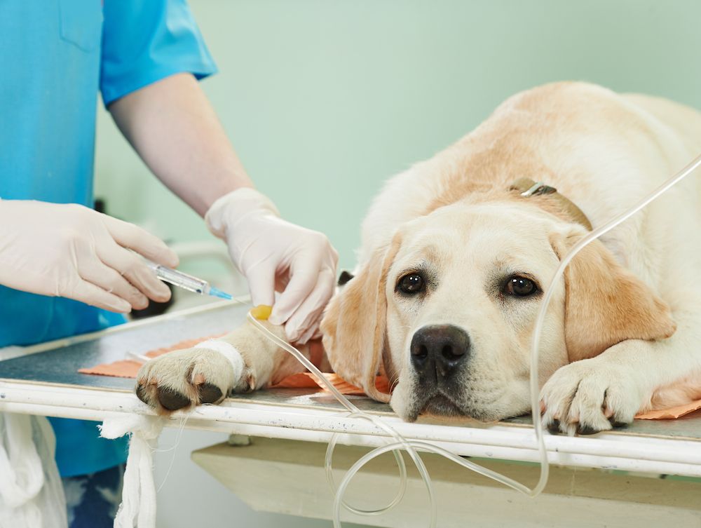 Question of the Week